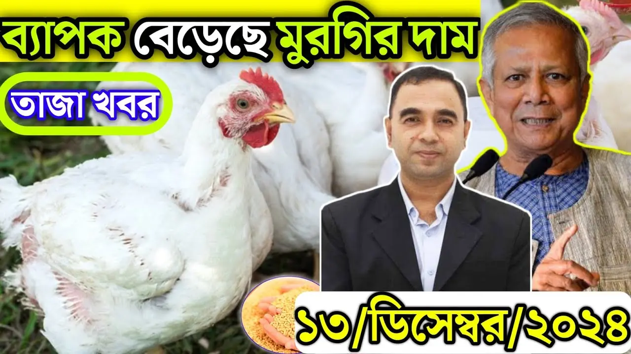 ব্রয়লার মুরগির উৎপাদন ও বাজারের পরিস্থিতি
