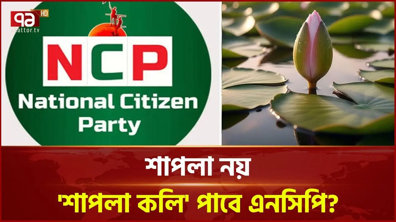 নভেম্বর: গুরুত্ব এবং বর্তমান ঘটনা