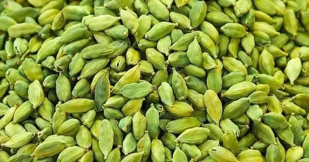 ফজরের নামাজের সময় এবং এর গুরুত্ব