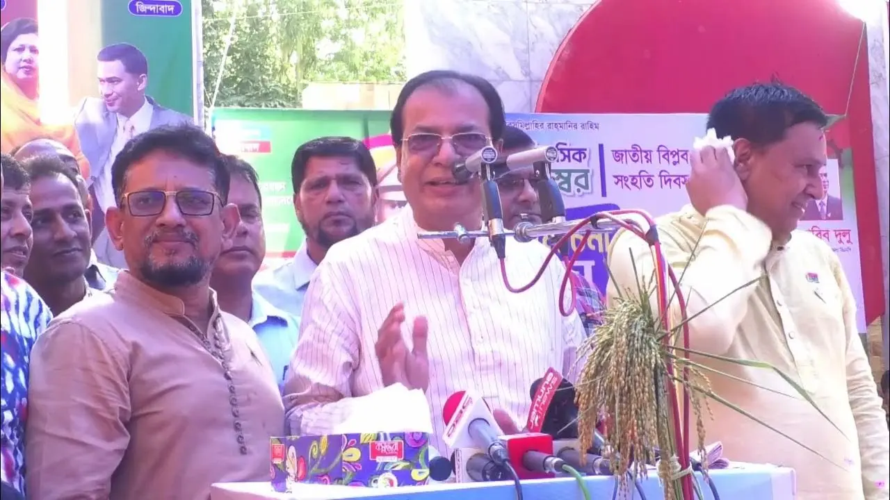 আসাদুল হাবিব দুলুর রাজনৈতিক ক্যারিয়ার ও অবদান