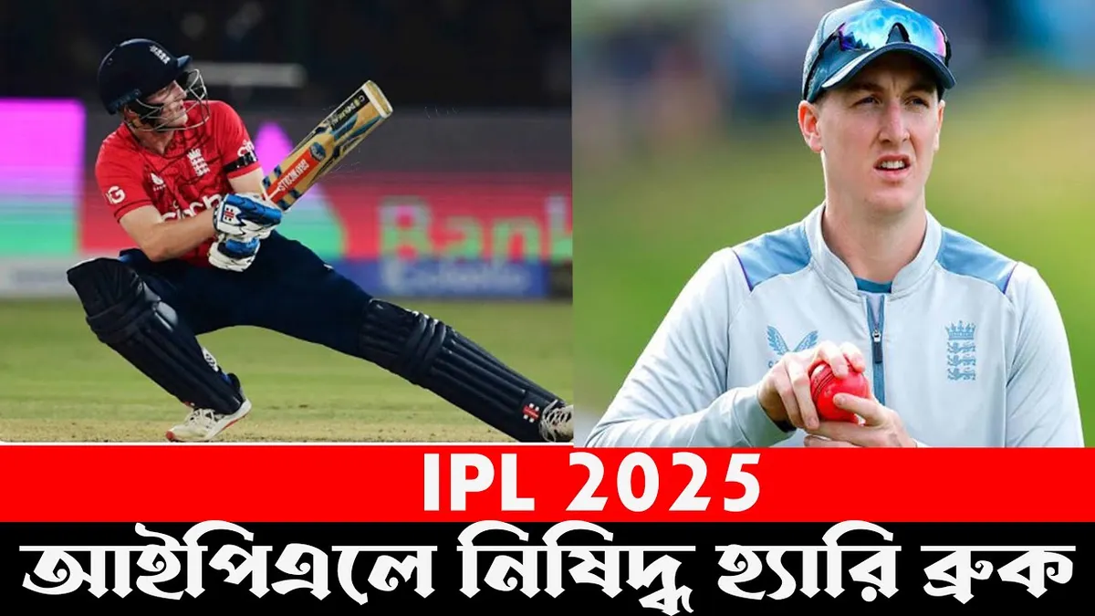 হ্যারি ব্রুক — BD news