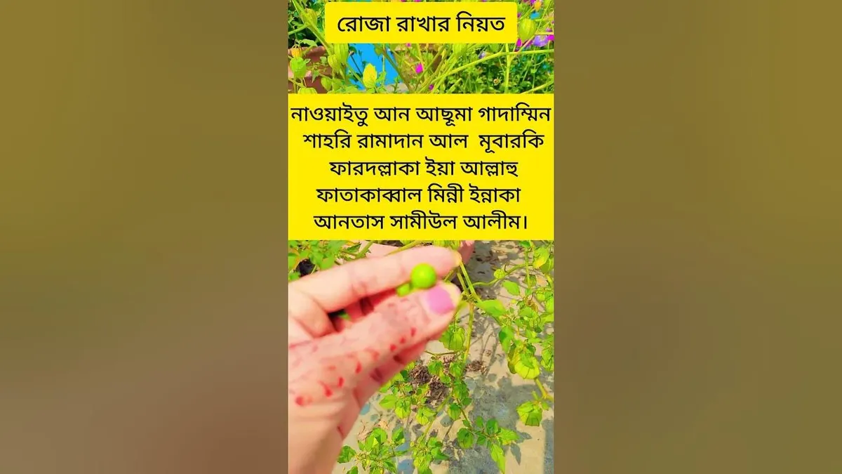 রোজা রাখার নিয়ত — BD news
