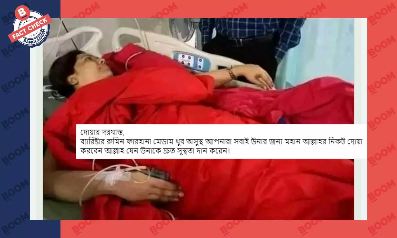 রমিজ ফারহানার উদ্ভব এবং প্রতিভা