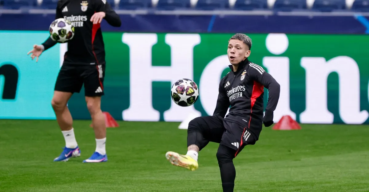 s.l. benfica — BD news