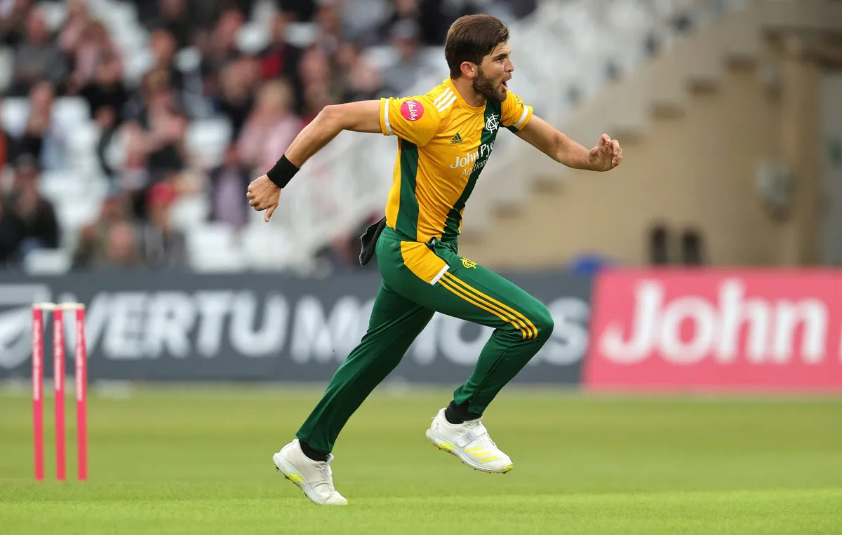 shaheen afridi — BD news