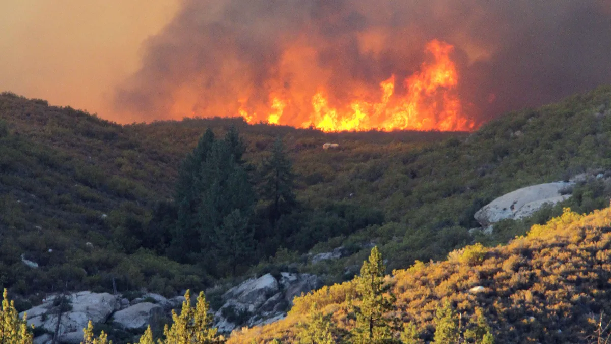 climate change — BD news