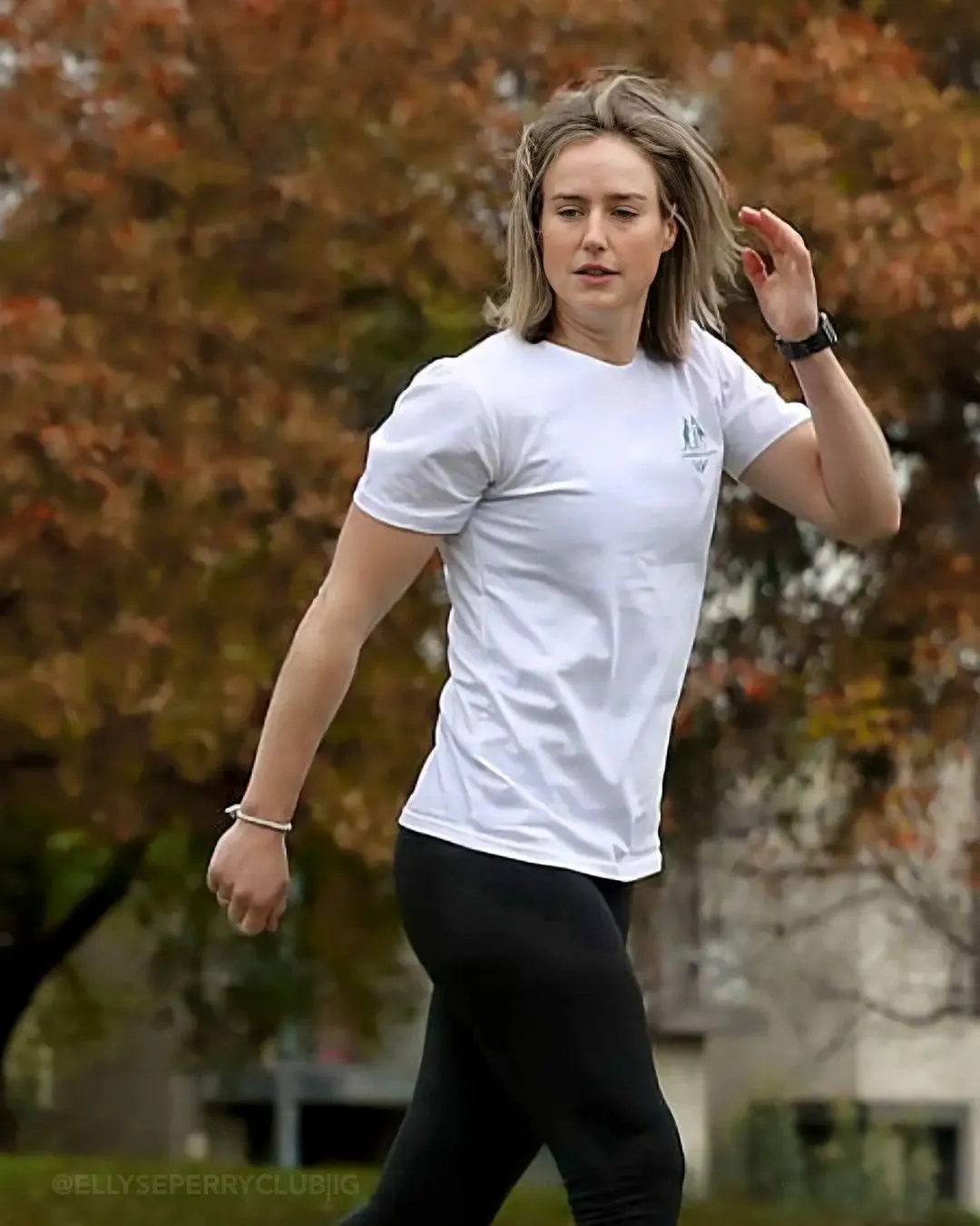 ellyse perry — BD news