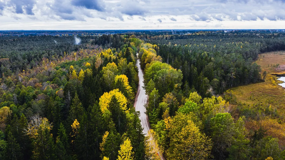 latvia — BD news