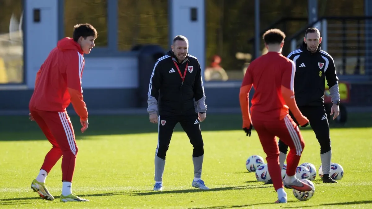 wales vs bosnia and herzegovina — BD news