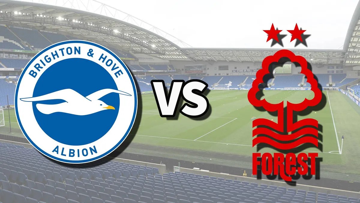 sunderland vs nottm forest — BD news