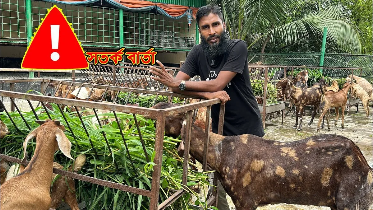 গবাদি পশু — BD news