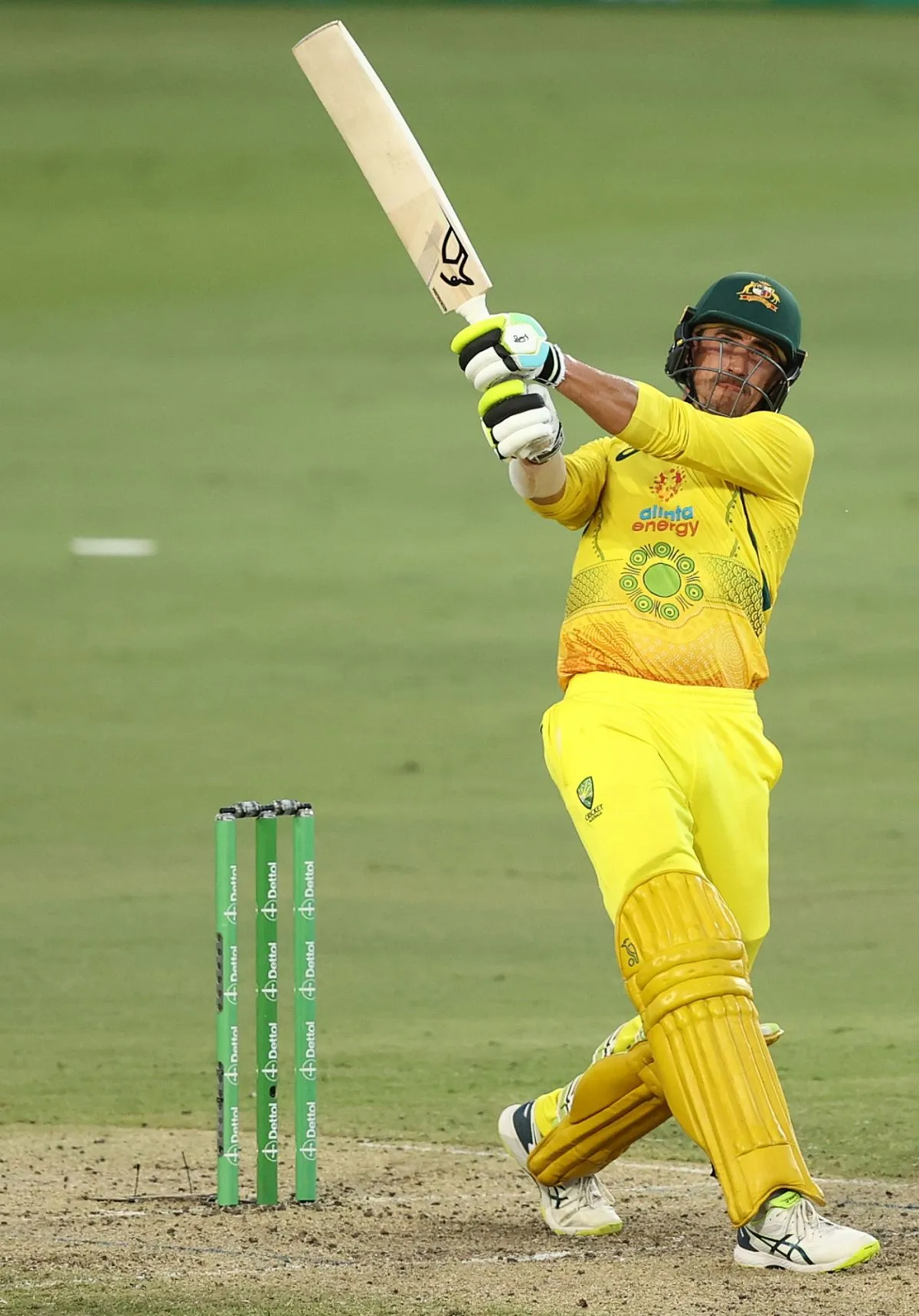 mitchell starc — BD news