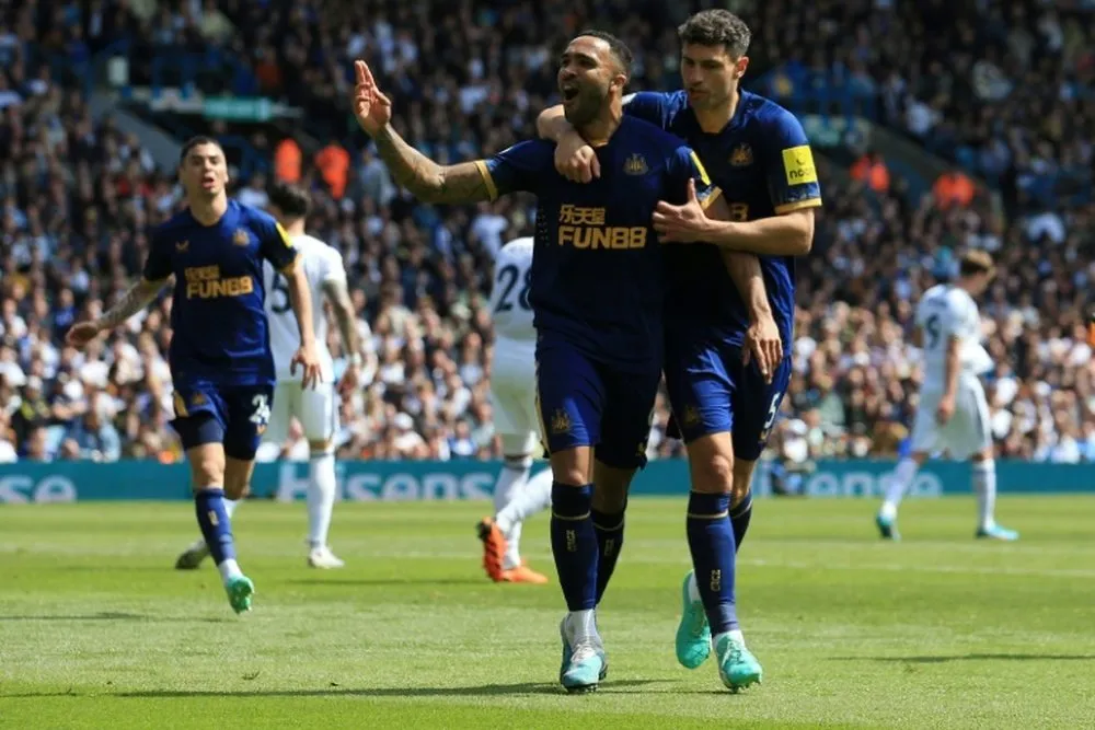newcastle vs brighton — BD news